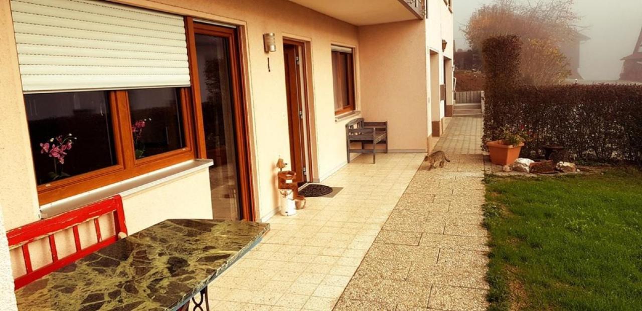 Haus Schmid Apartment Falkenfels Luaran gambar